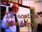 La costola di Adamo - prof. Danilo Valle